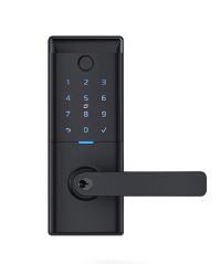 Schlage Ascent Smart Entrance Lever
